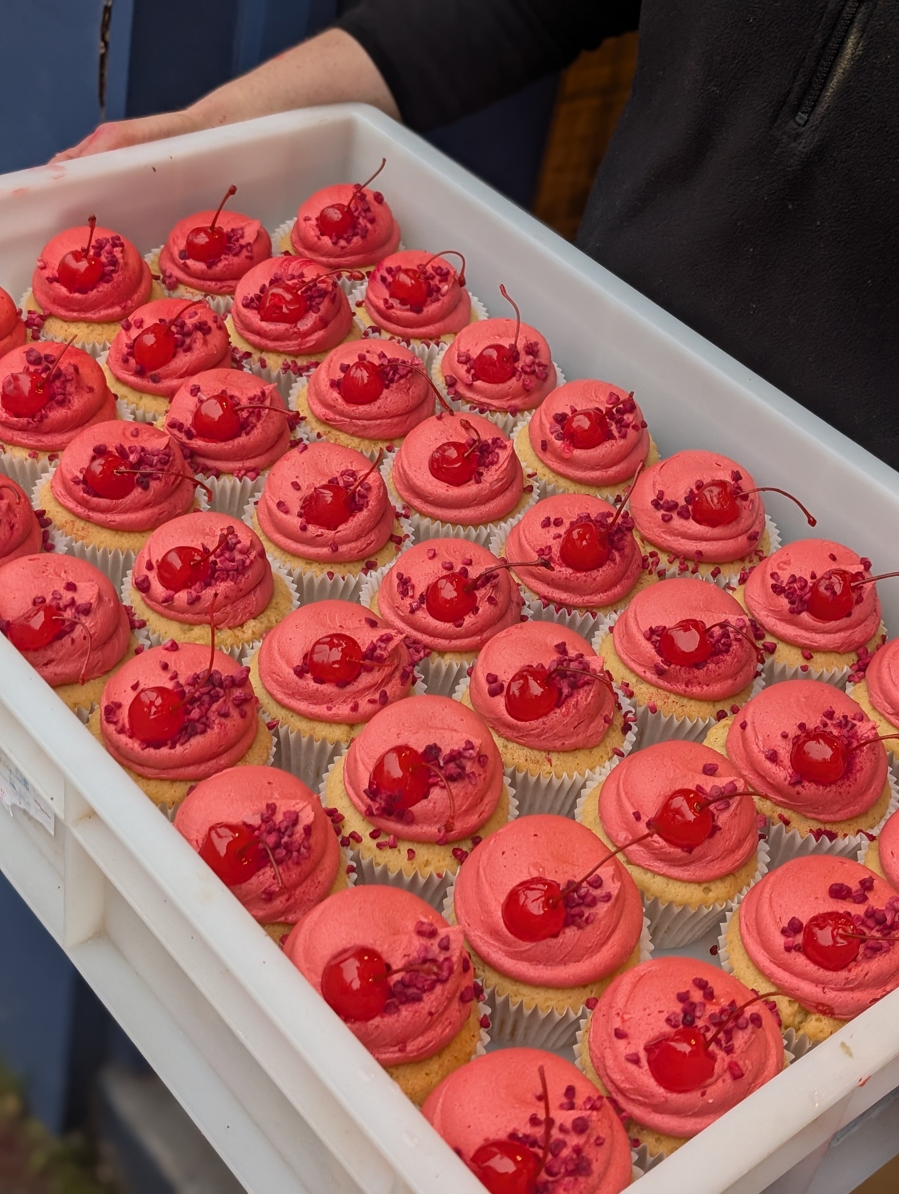 Celebration Cupcakes